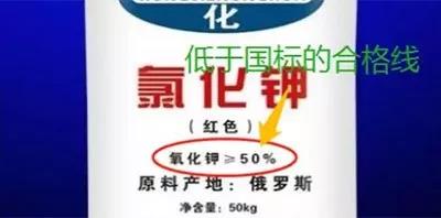 微信图片_20181205085200