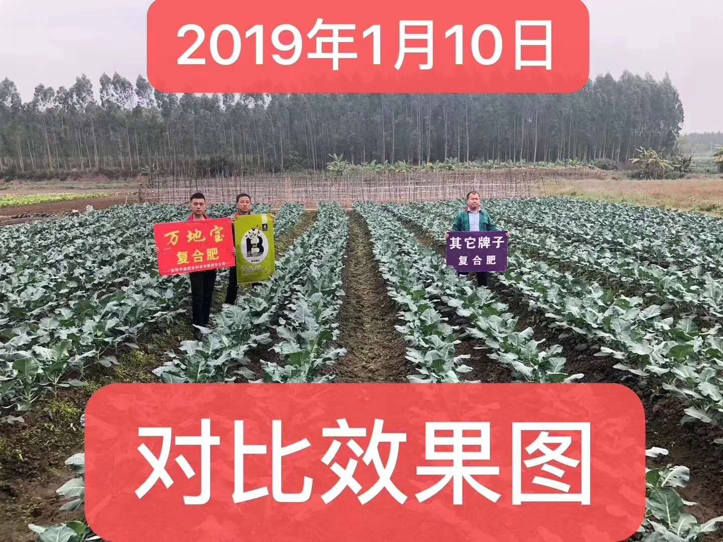 微信图片_201904071606321