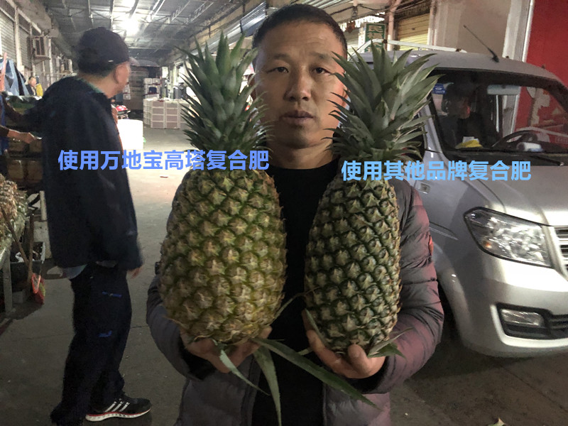 微信图片_201904071606327