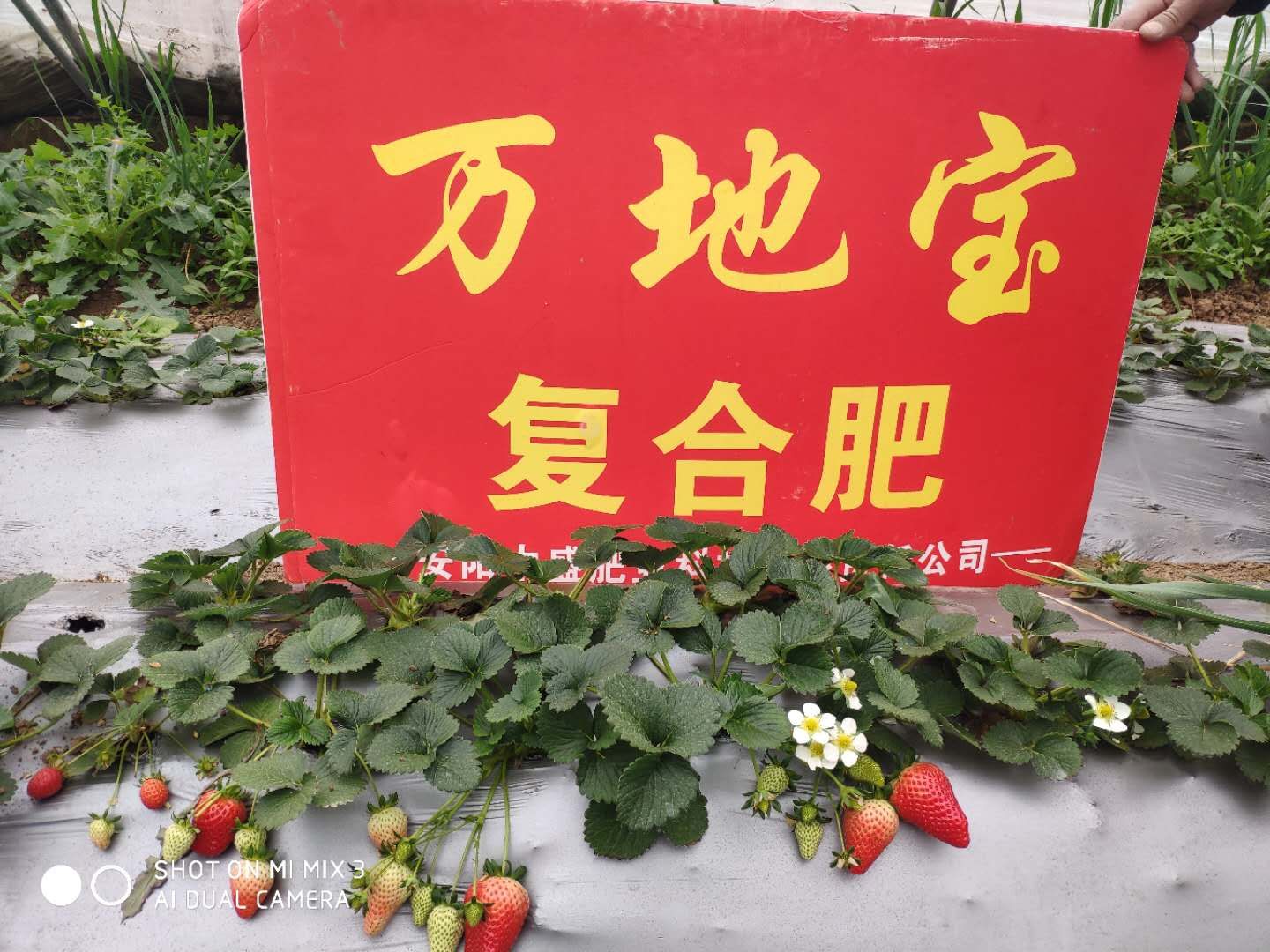 微信图片_201905071655151