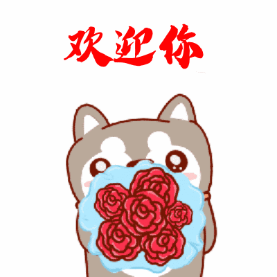 公司动态