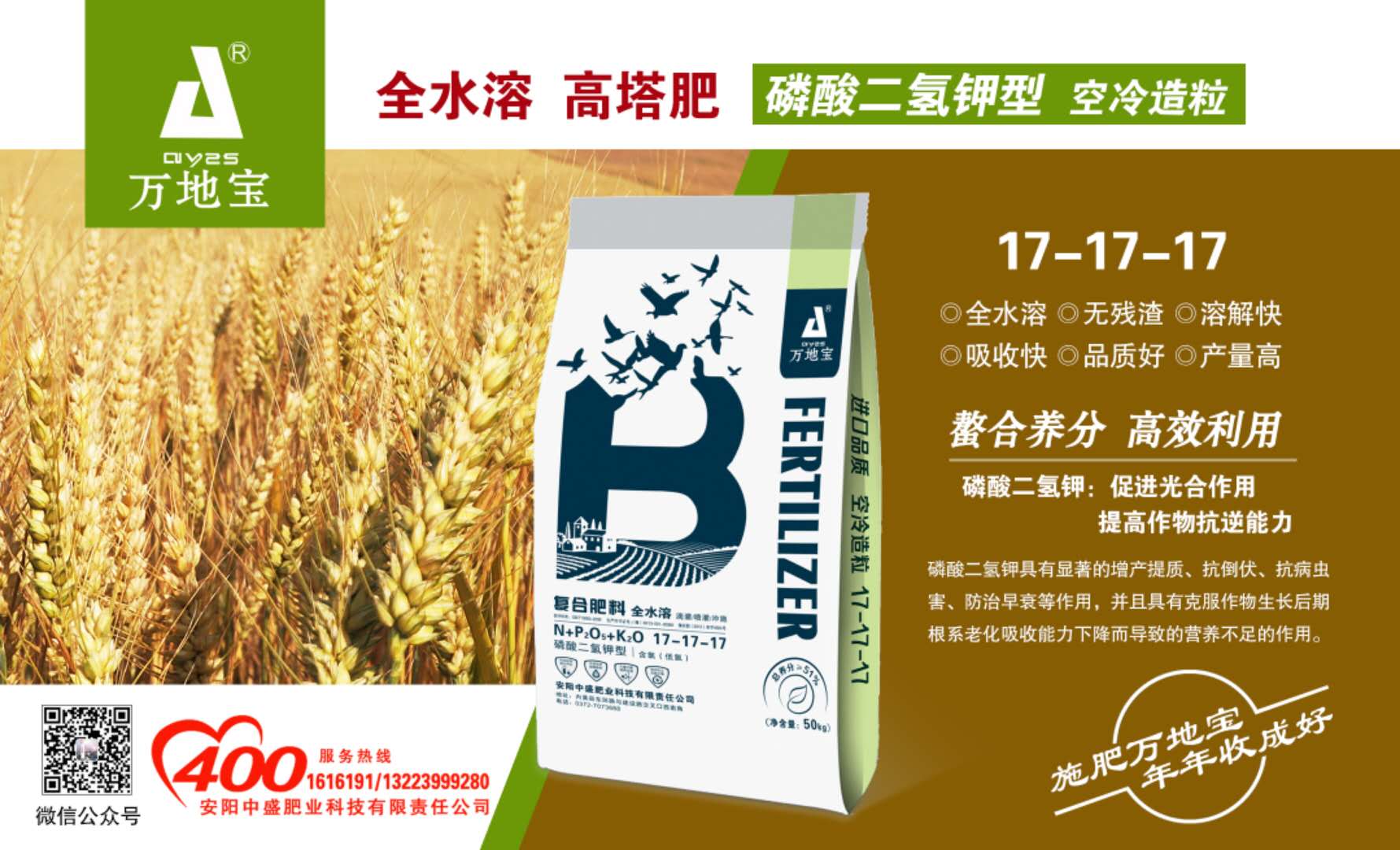 河南最超高产小麦品种,小麦新品种,小麦亩产2000斤_大山谷图库