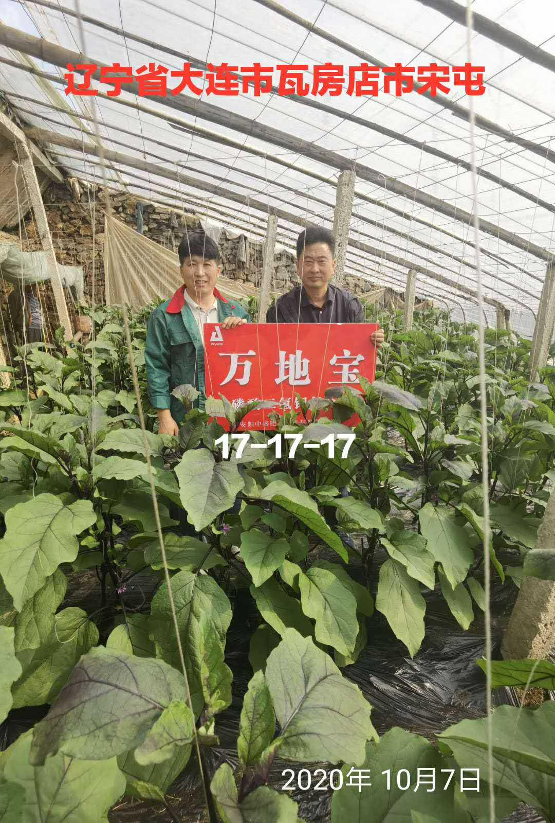 万地宝复合肥