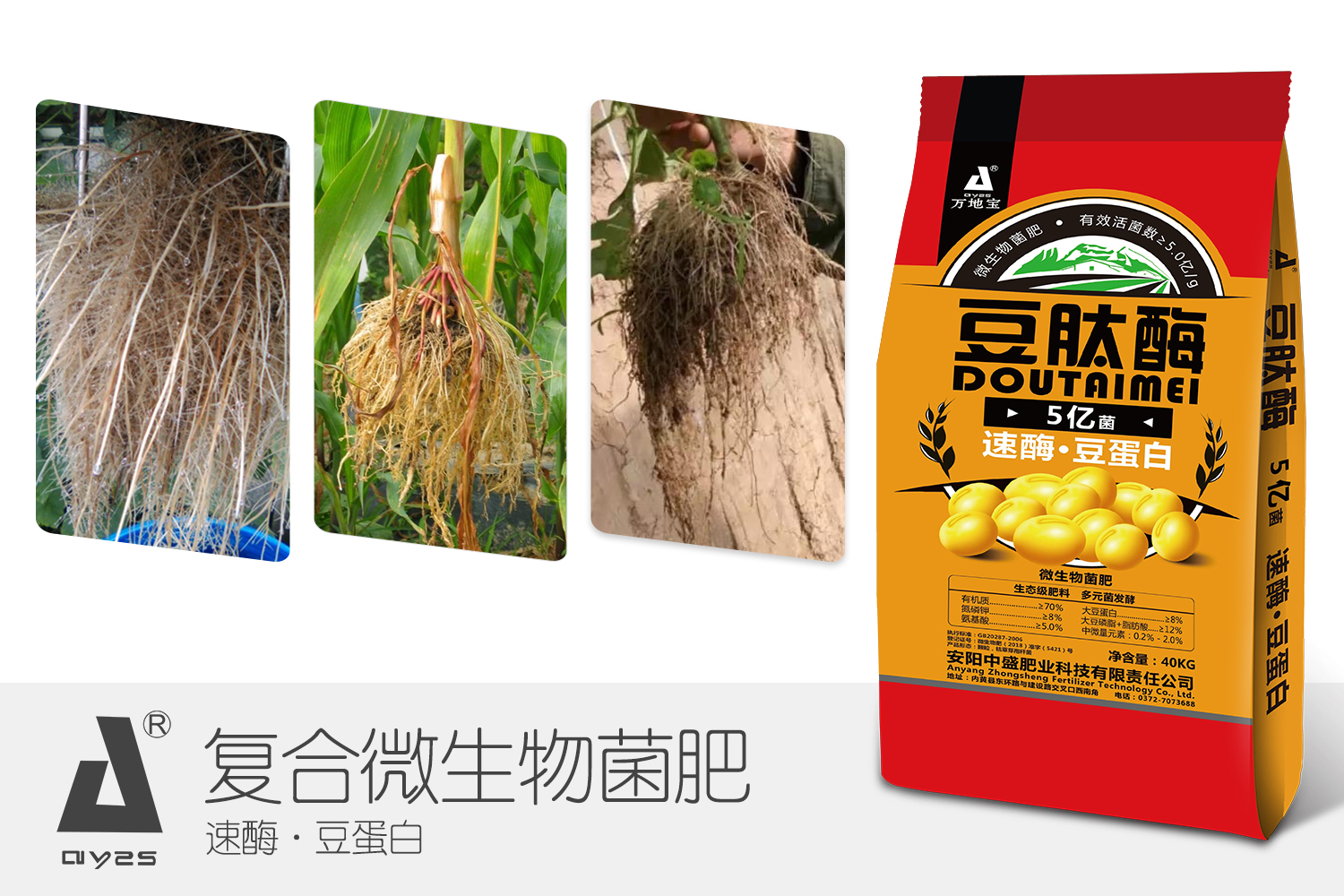 万地宝豆磷脂微生物菌肥
