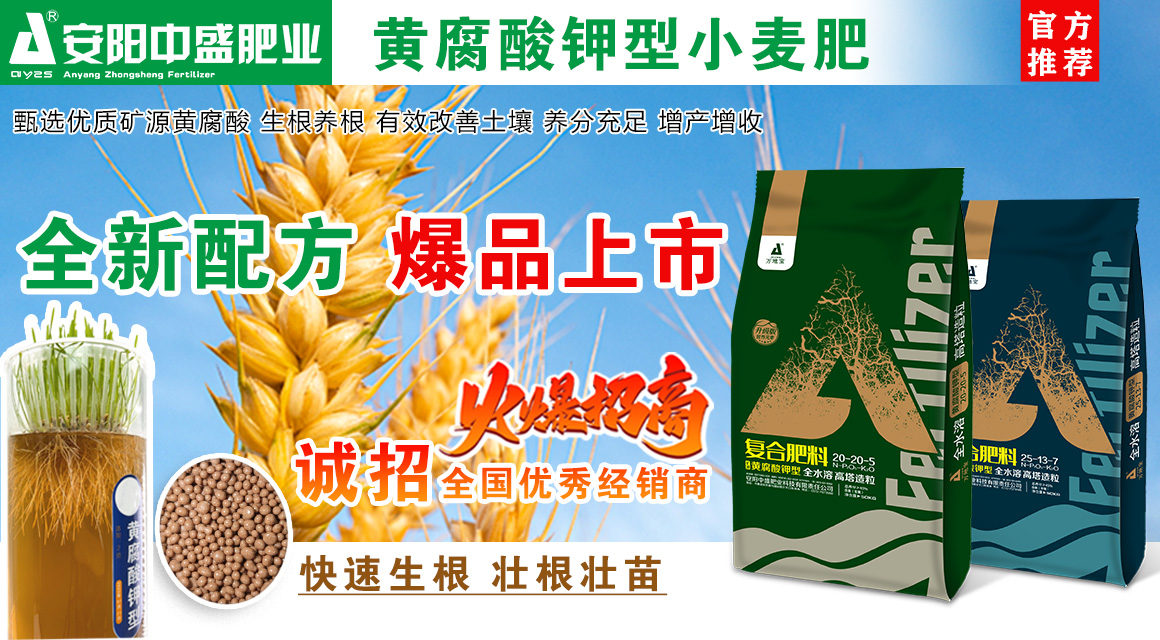 亚娟网站图