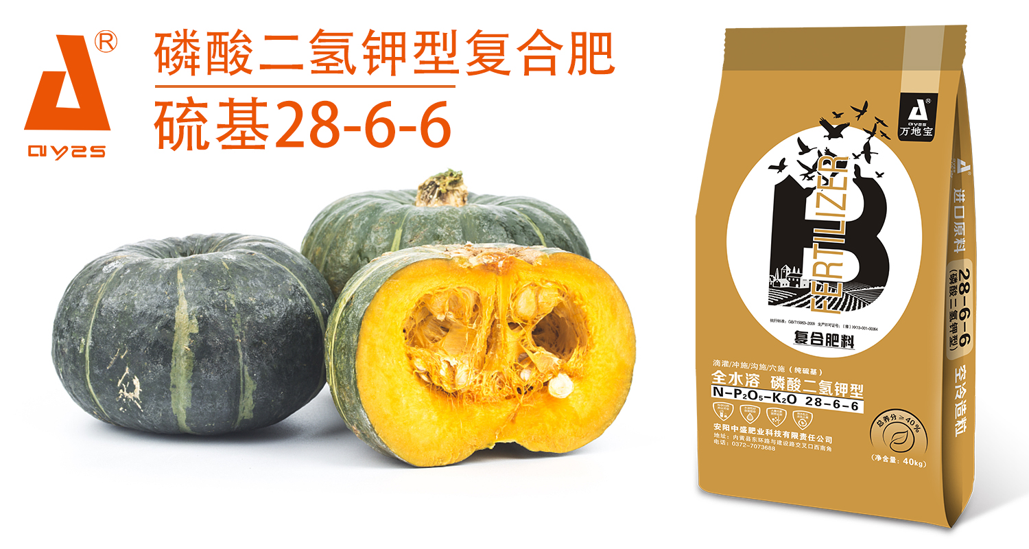 南2瓜2