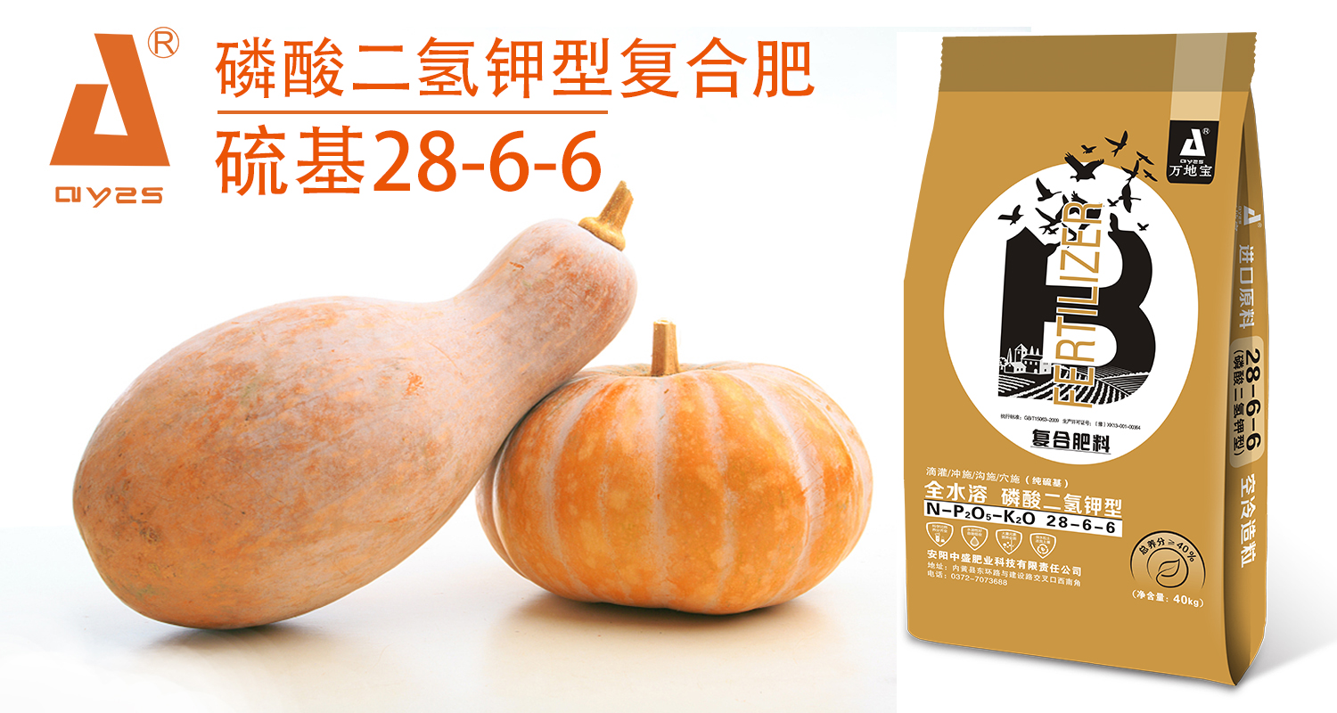 南瓜22